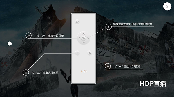 张伟丽甄子丹同框